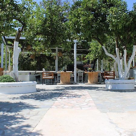 Villa Nouli Sarakiniko  Εξωτερικό φωτογραφία