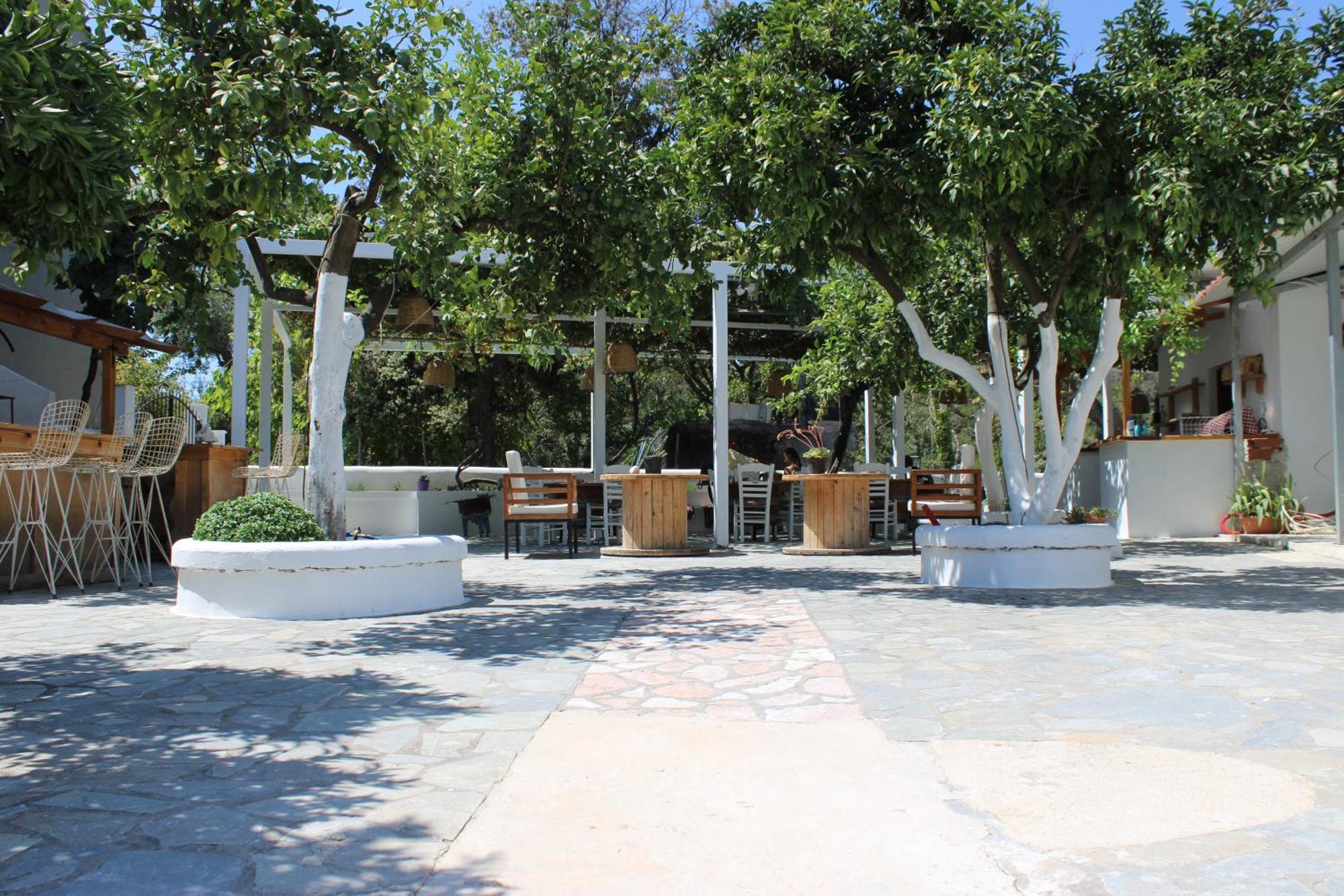 Villa Nouli Sarakiniko  Εξωτερικό φωτογραφία